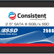 حافظه Consistent SSD 256GB